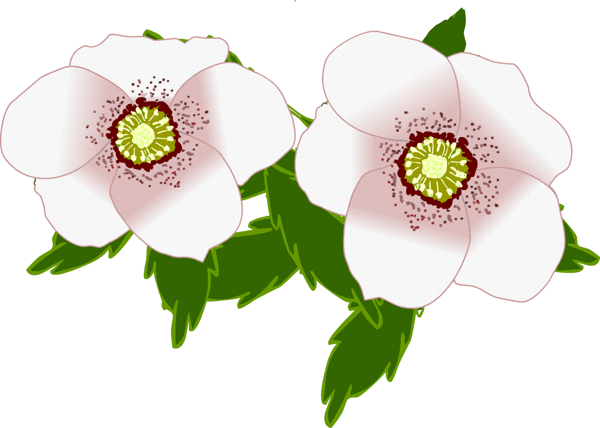 冬景色 冬の花 イラスト 雪景色 無料