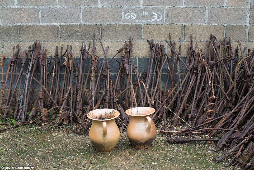 Discovered: Rusted rifles found in the ground around the French town of Verdun. People have been killed by the bombs left behind after the battle as recently as 2007