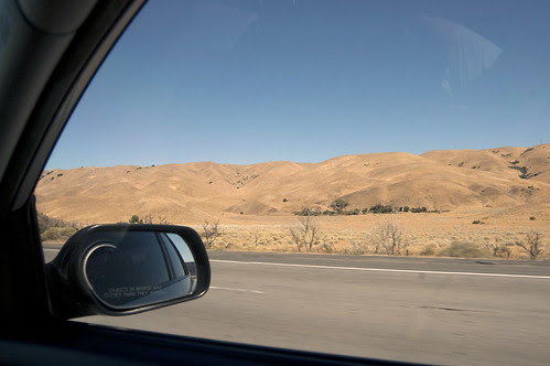 velvety hills