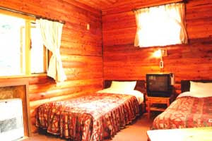 コテージイン ログキャビン