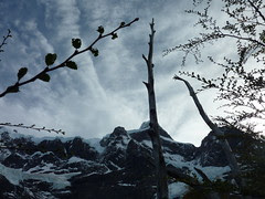 P1070219