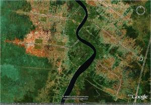 Pengembangan Rawa