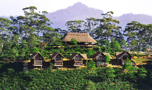 Perfect 98 Acres Sri Lanka 504 x 298 · 132 kB · jpeg