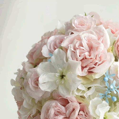 With Our Deepest Sympathy Free Sympathy Condolences Ecards 123 Greetings