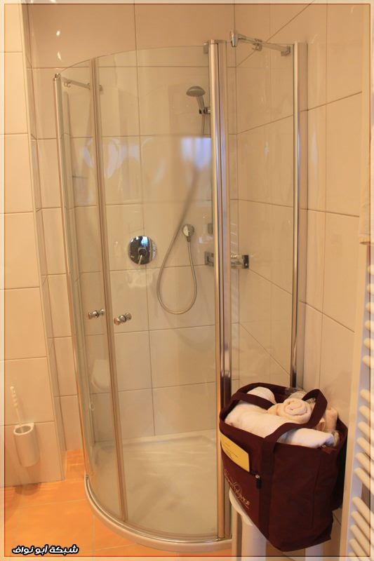 فندق دير شمتنهوف زيلامسي - Der Schmittenhof Hotel Zell Am See
