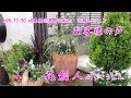 [10000印刷√] ガーデニング 岐阜 299956-ガーデニング 求人 岐阜
