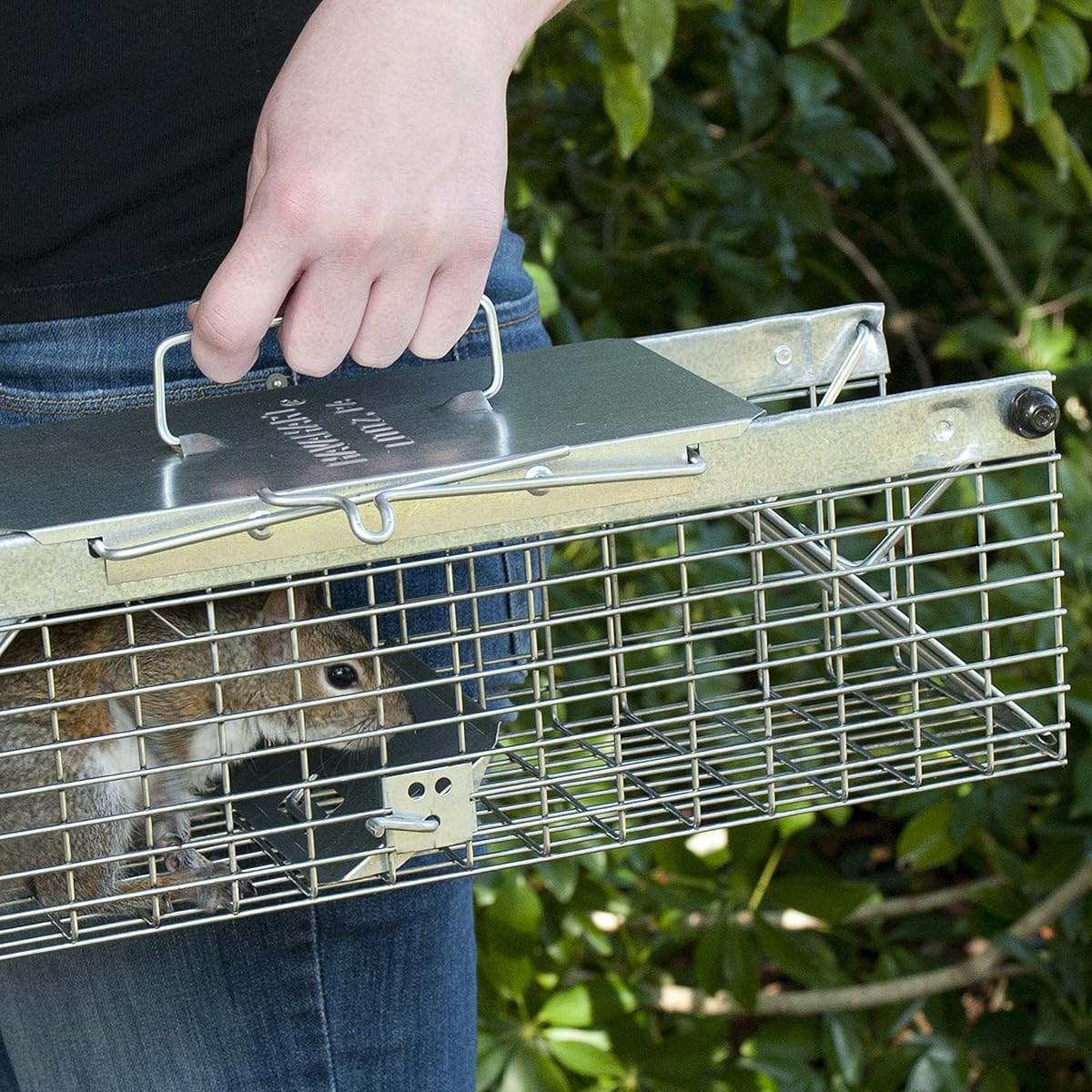 Havahart 1025 Live Animal TwoDoor Chipmunk, Small Squirrel, Rat, and Weasel Cage TrapMade in 