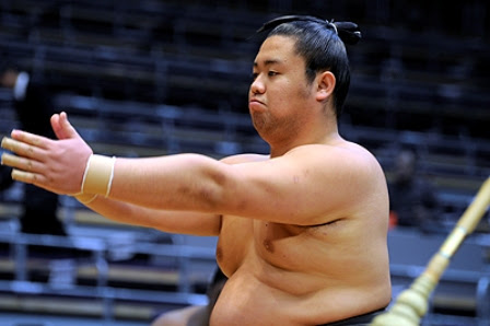 木瀬乃若 敏大 力士情報