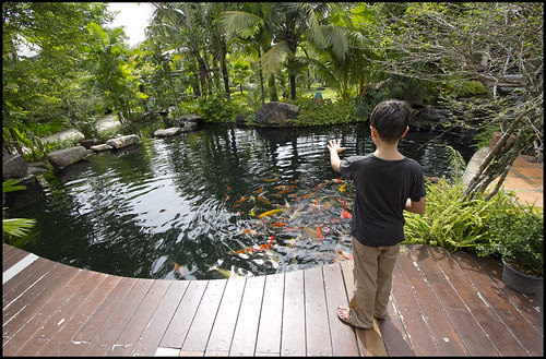 The Phuket Botanic Garden opened simply lastly yr Bangkok Thailand Place should to visiting: Phuket Botanic Garden