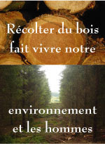 Consommez du bois !