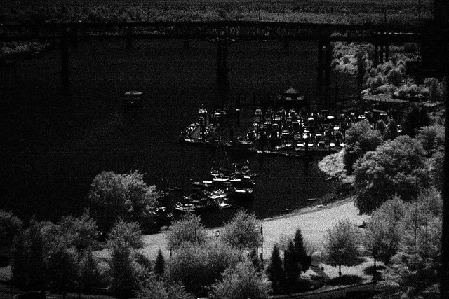 willamette infrared