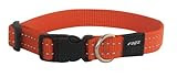 Rogz Reflective 5/8-Inch Snake Dog Collar, Small to Medium, Orange