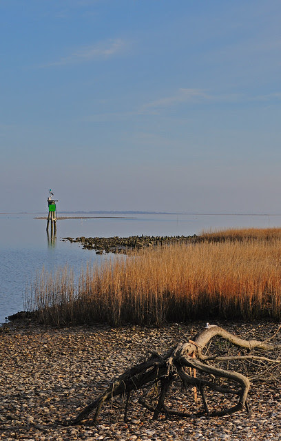 Quinby Harbor 4