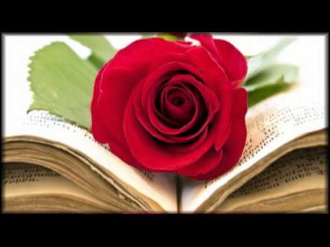 BAHASA CINTA
