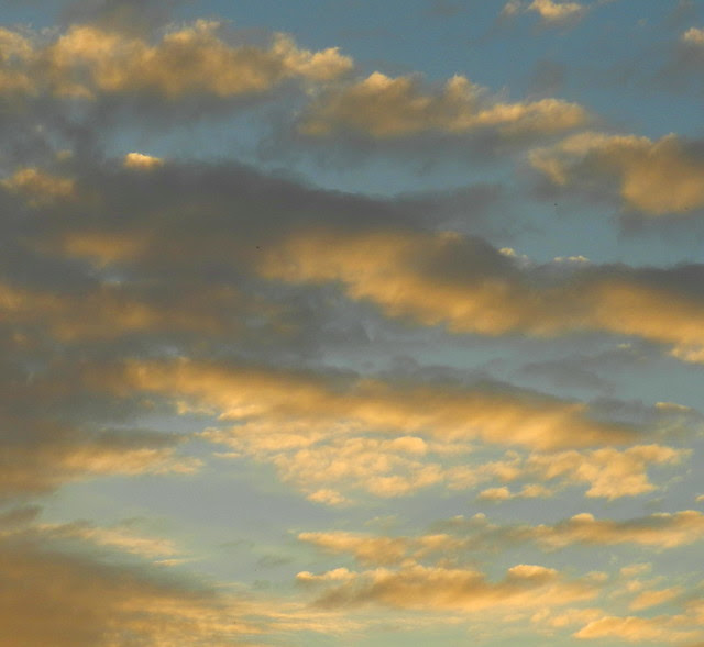 skywatchDSCN2506