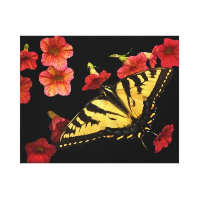 Tiger Swallowtail Butterfly on Red Flowers Canvas Prints