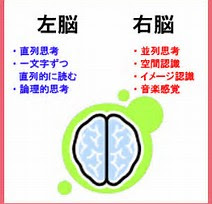 右脳と左脳の構造働きの違いにタイプ診断 右利きと左利き 日本人と外国人の違いとは 関西中学受験体験ブログ 目指せ中学受験 コッコとたぬりの大冒険 18年受験体験記22年受験を目指す過程をお伝えします