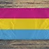 Pansexual Flag - Pansexual Gay Pride Flagge 150 X 90 Cm Amazon De Garten / The light blue and light pink are the traditional colors for baby girls and baby boys, respectively.