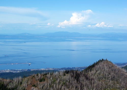 2010-08-28 Hurricane Ridge (71)