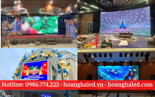 Hình ảnh
