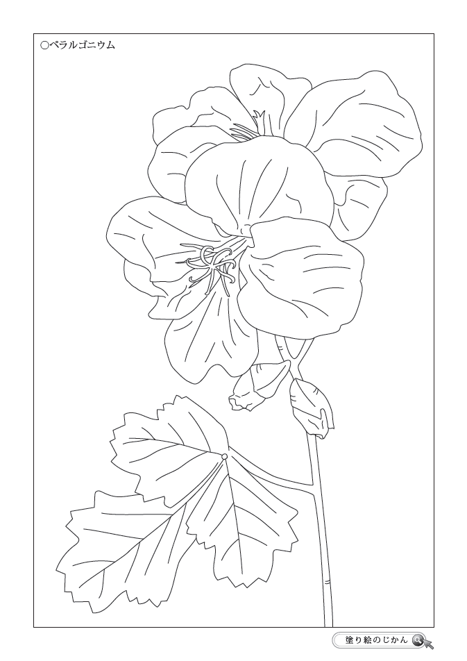 夏の花ぬりえ 塗り絵のじかん