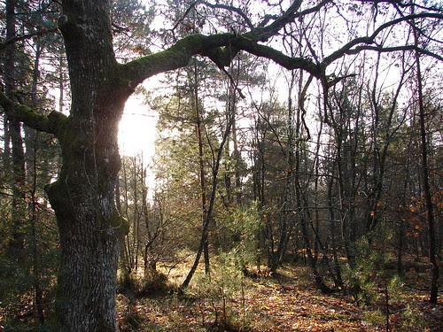 Loire Dec 05 282