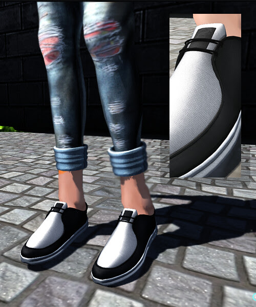 FS107c