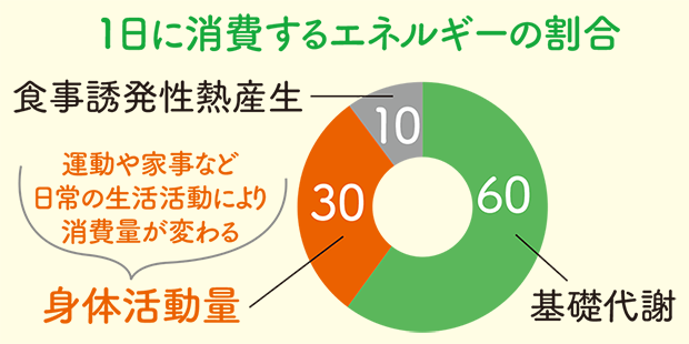 痩せやすい身体を作るために知っておきたい代謝について パーソナルジムchange Nsca公認トレーナー 3か月で理想の体へ導くダイエットプログラム