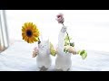 選択した画像 ペットボトル 花瓶 子供 217929-ペットボトル 花瓶 子供