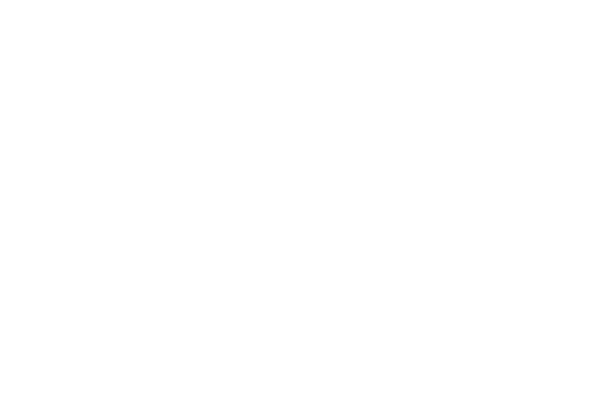 レース素材 レース素材専門サイト Da Lace ダ レース