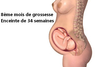 8eme Mois De Grossesse