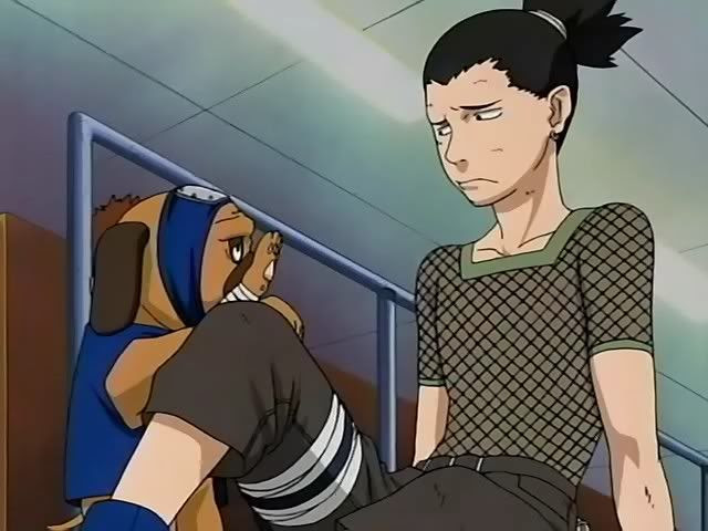 Naruto: Pakkun - Picture Colection
