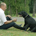 Vladimir Putin Dog - / The best gifs for vladimir putin dog.