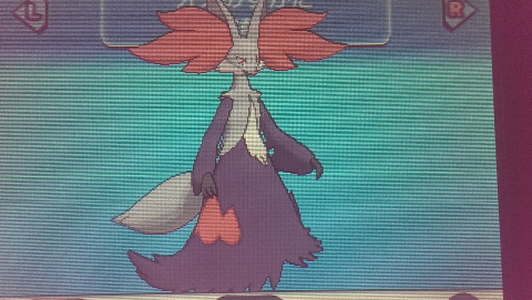 色孵化フルパワー キラリ色違いポケモン国際孵化記録 フォッコ