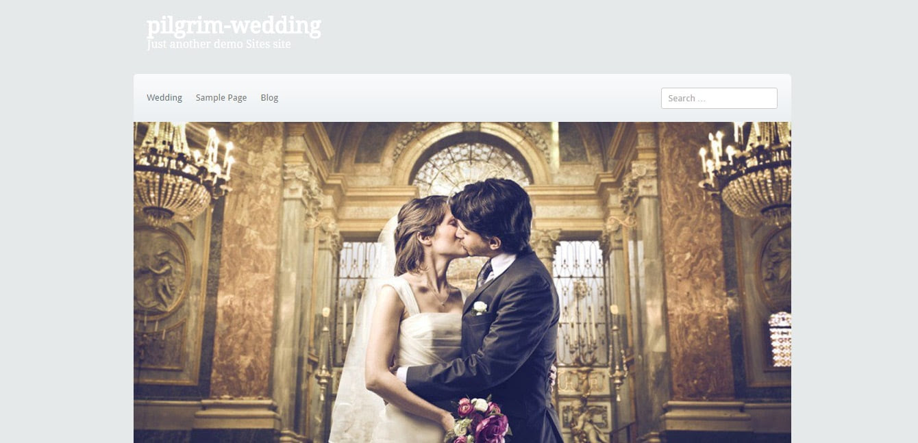 pilgrim-wedding-_-Just-another-demo-Sites-site