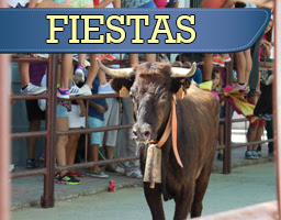 Tradicionales Encierros en Honor a San Roque