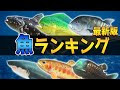 √70以上 魚 高い順 731801-とび森 南の島 魚 高い順