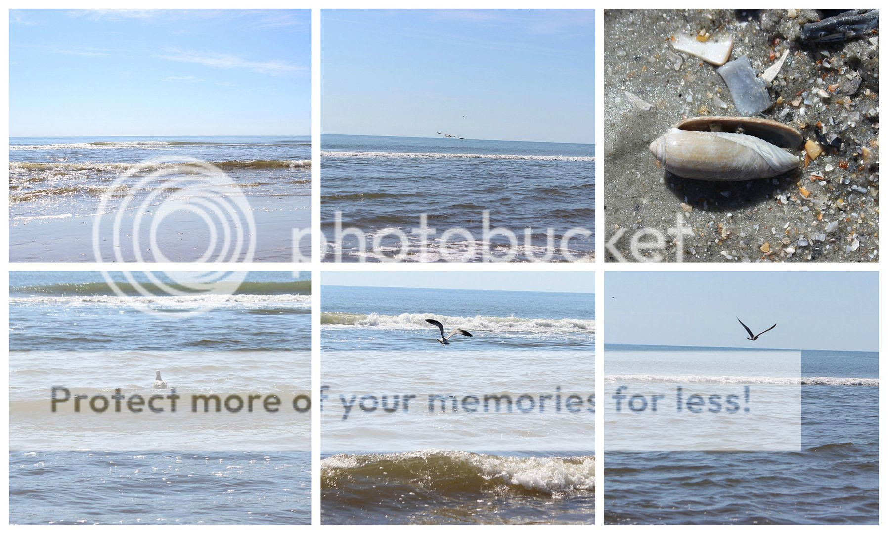 photo beach.collage19_zpsvpfozjjc.jpg