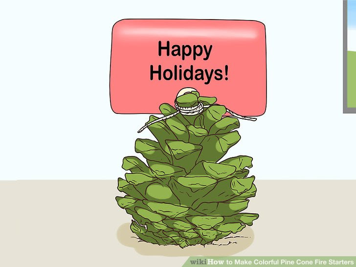 Make Colorful Pine Cone Fire Starters Step 10.jpg