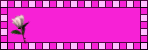  photo AMStoreBanner-blinkie_zps249801dd.png