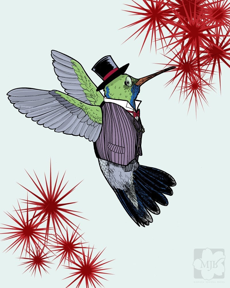 top hat monocle hummingbird