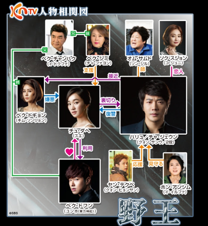 韓国ドラマ 野王 の相関図とキャスト情報