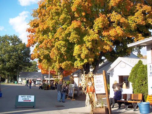 Fall colors