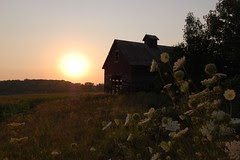 orland barn sunset