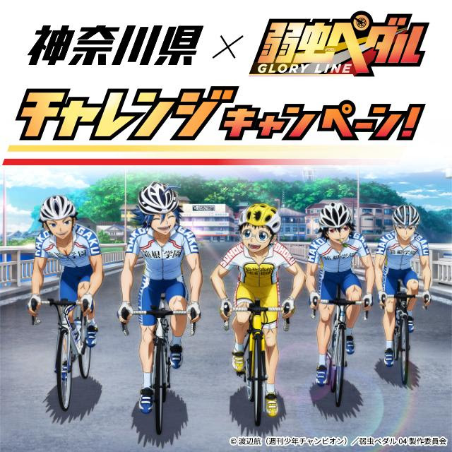 Tvアニメ 弱虫ペダル Glory Line 公式サイト