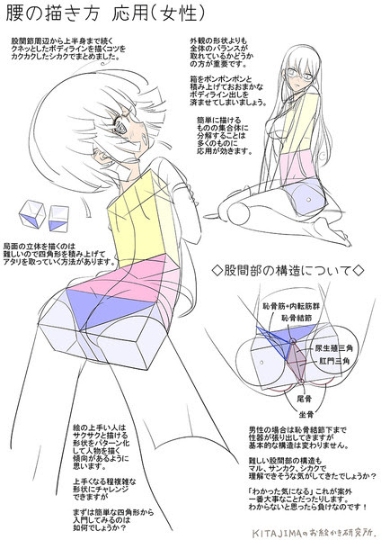腰の描き方 応用 女性 股関節部の構造について Pixiv年鑑 B