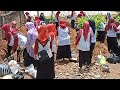 Video Kegiatan PKK, Tanam Sayuran, 28 Januari 2020