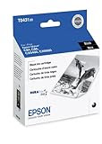 Epson T043120