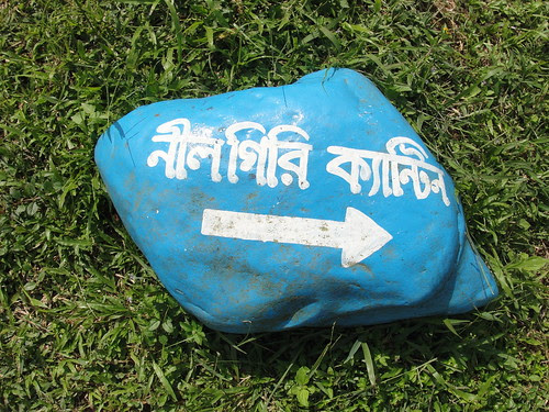 নীলগিরি ক্যান্টিন