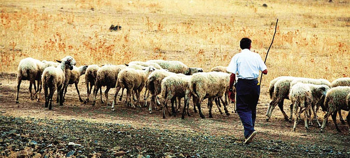 Έκτακτη ενίσχυση σε κτηνοτρόφους υπέγραψε ο Υπουργός Αγροτικής Ανάπτυξης-Ποιοι δικαιούνται 